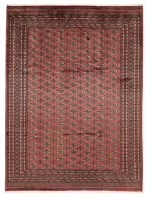 251X341 Dywan Orientalny Pakistański Bucharski 3Ply Ciemnoczerwony/Czarny Duży (Wełna, Pakistan ) Carpetvista