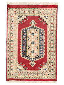  64X96 Pakistan Bokhara 2Ply Rug Beige/Orange Pakistan Carpetvista