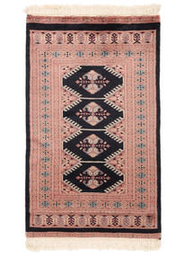  Pakistan Bokhara 3Ply Rug 76X127 Brown/Black Carpetvista