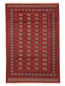  Pakistan Bukhara 2Ply Covor 169X252 Lână Dark Red/Negru Carpetvista