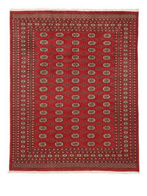 248X310 Dywan Orientalny Pakistański Bucharski 2Ply Ciemnoczerwony/Brunatny (Wełna, Pakistan ) Carpetvista