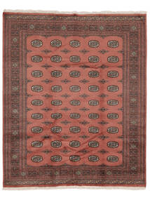  202X241 Medallón Pakistan Bukara 2Ply Alfombra Lana, Carpetvista