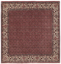 
    Bidjar with silk - Red - 204 x 212 cm
  