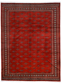 
    Pakistan Bokhara 2ply - Dark red - 281 x 369 cm
  