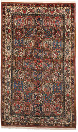 
    Bakhtiari Collectible - Brown - 148 x 247 cm
  