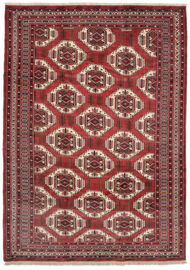 
    Turkaman - Dark red - 228 x 318 cm
  