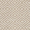 Solveig Rug - Beige / White