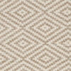 Solveig Rug - Beige / White